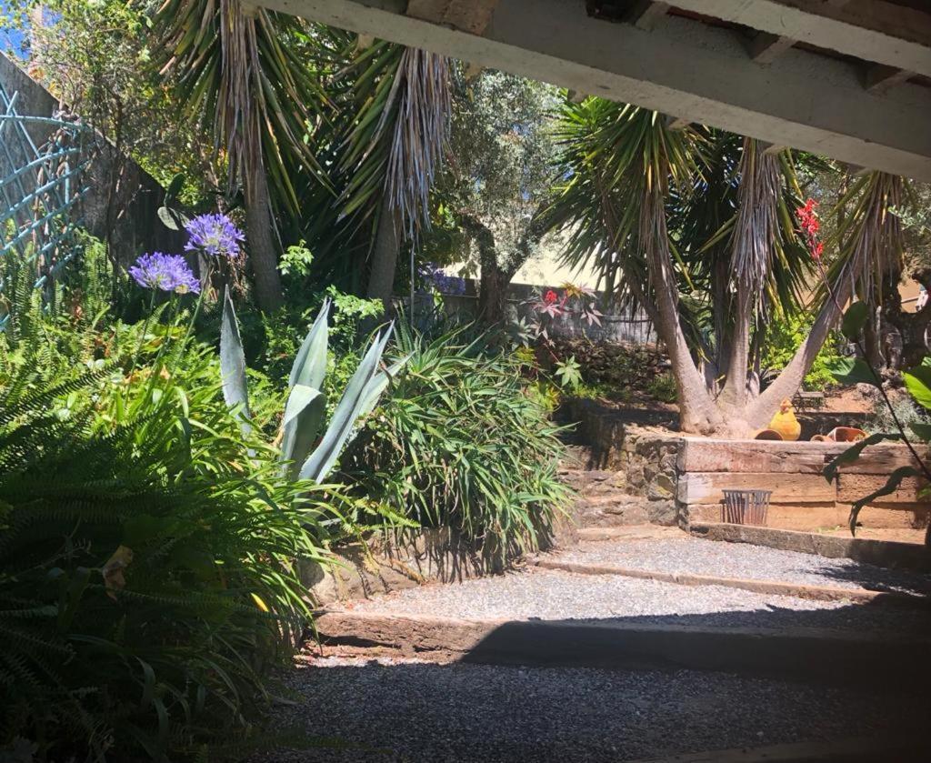 Redondo Lodges Junceira Exterior photo