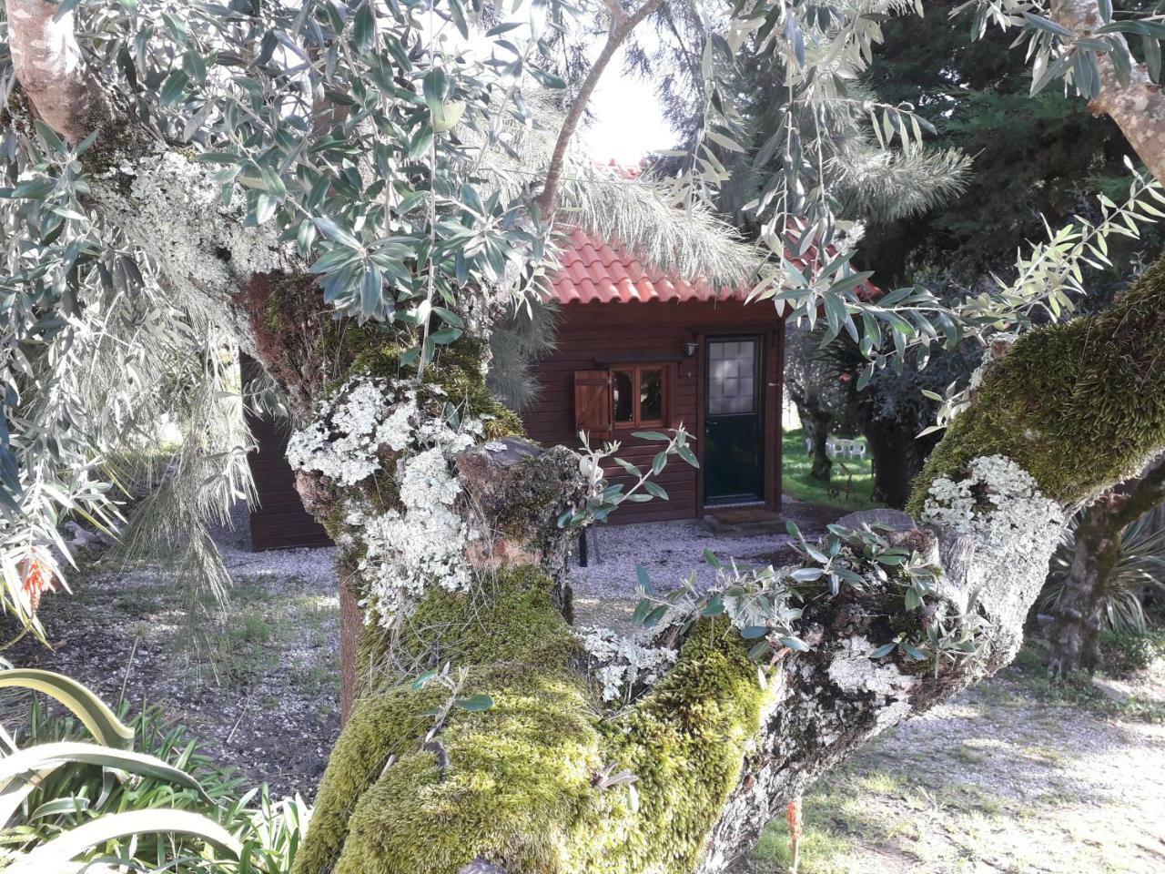 Redondo Lodges Junceira Exterior photo